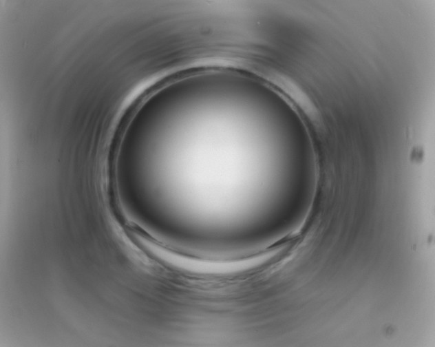 X0000095110980200712071213