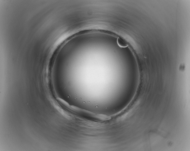 X0000095110982200712071213