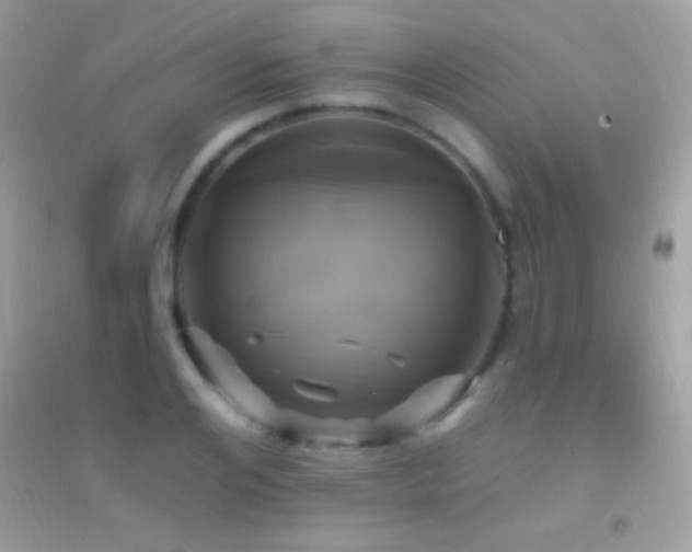 X0000095110984200712071213