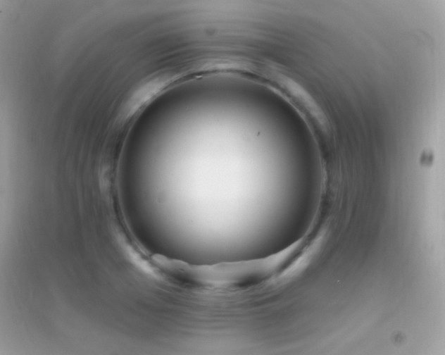 X0000095110985200712071213