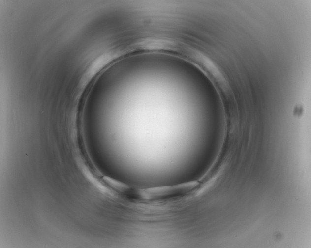 X0000095110986200712071213