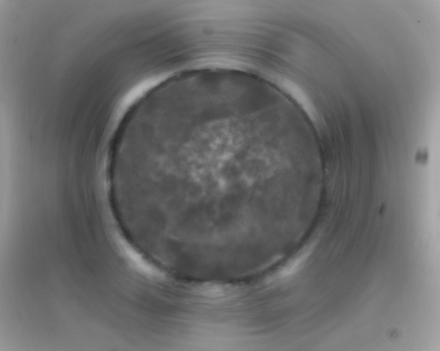 X0000095110987200712071213