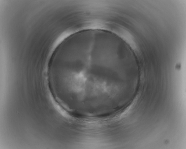 X0000095110990200712071213