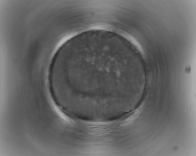 X0000095110991200712071213