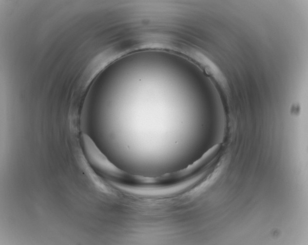 X0000095110993200712071213