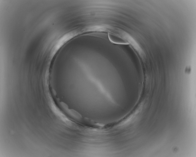 X0000095110994200712071213