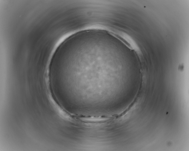 X0000095110996200712071213