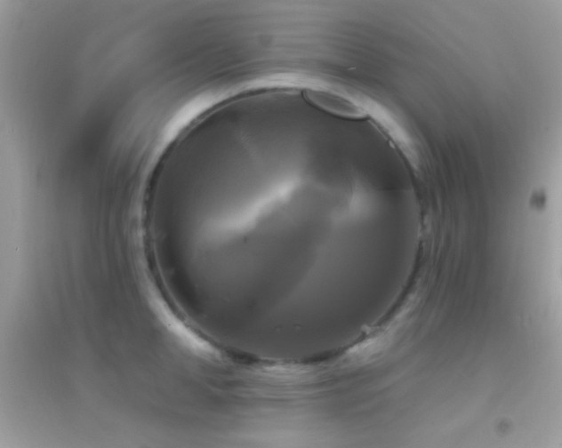 X0000095110998200712071213