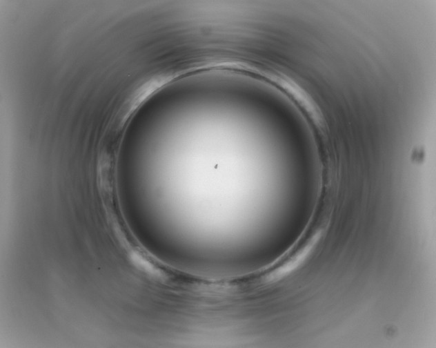 X0000095111001200712071213