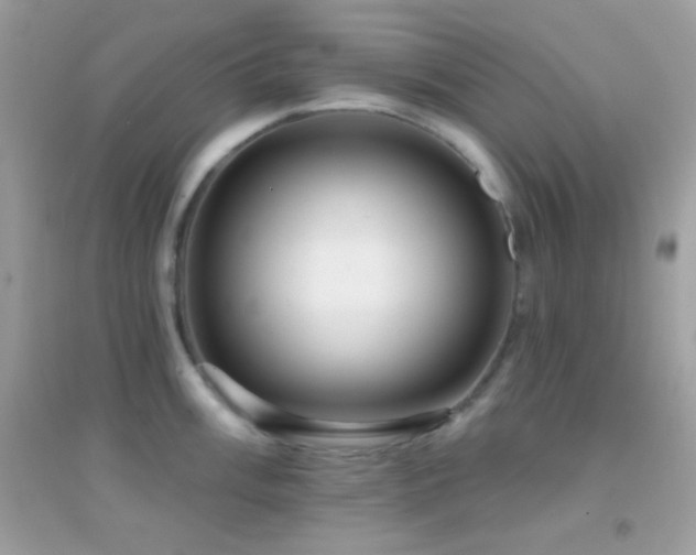 X0000095111003200712071213