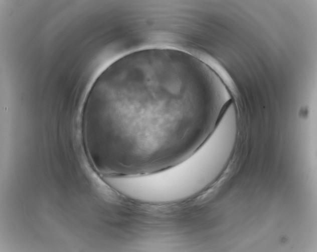 X0000095111004200712071212