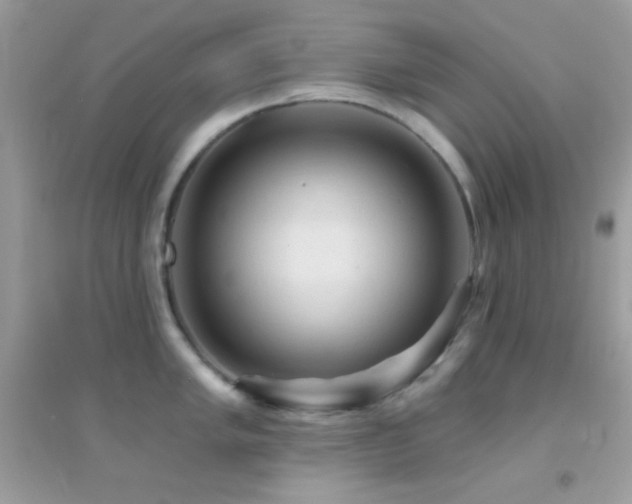 X0000095111005200712071212