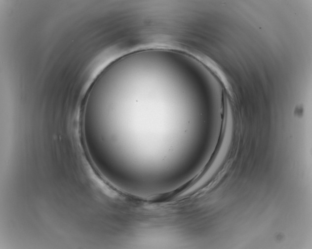 X0000095111006200712071212