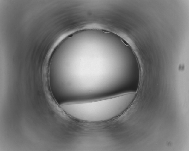 X0000095111008200712071212