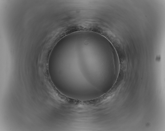 X0000095111009200712071212