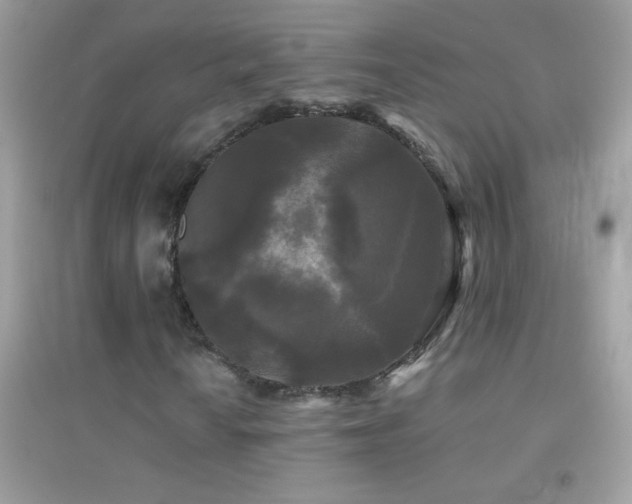 X0000095111010200712071212