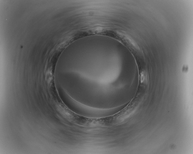 X0000095111011200712071212