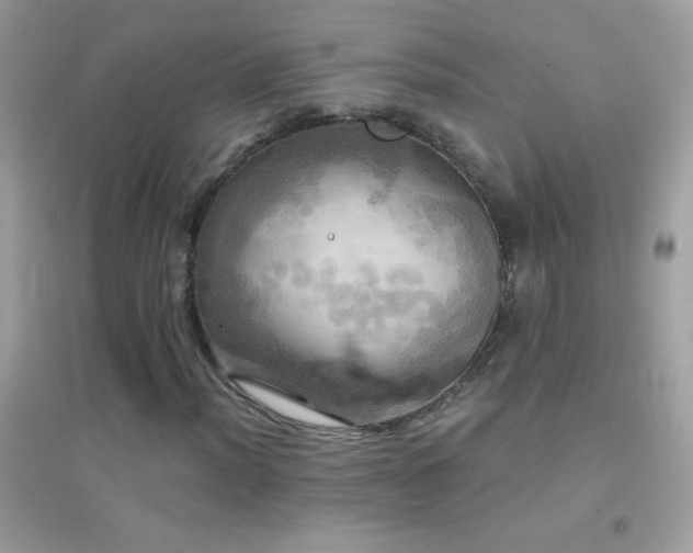 X0000095111012200712071212