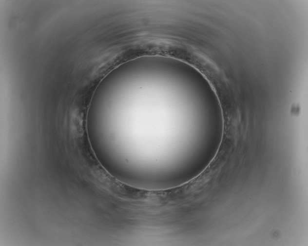 X0000095111013200712071212