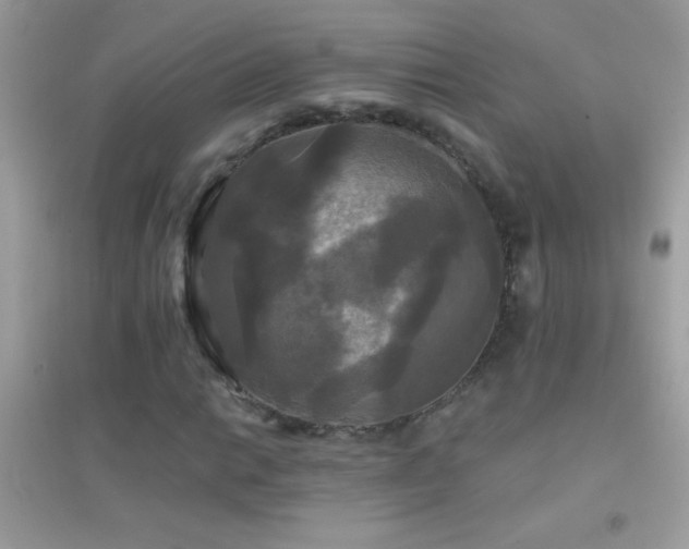 X0000095111014200712071212