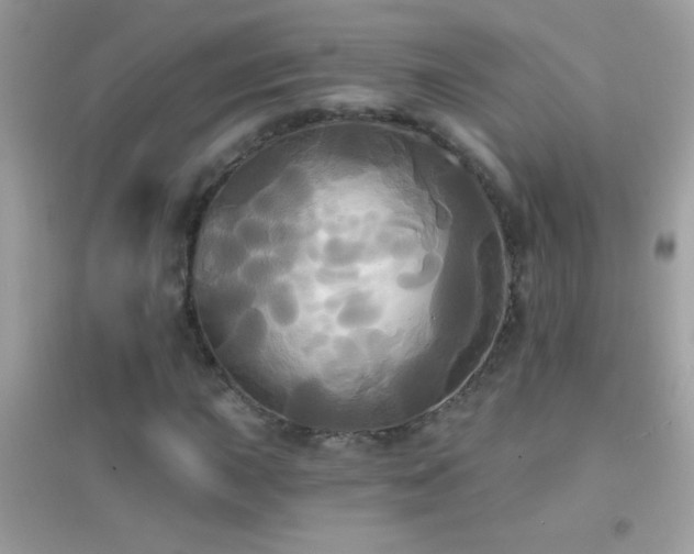 X0000095111015200712071212