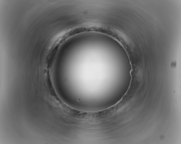 X0000095111016200712071212