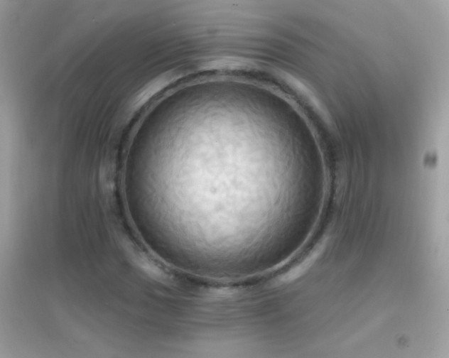 X0000095111017200712071212