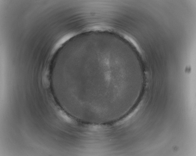 X0000095111018200712071212