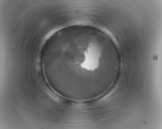 X0000095111019200712071212