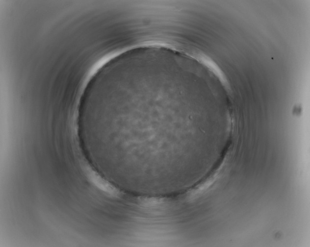 X0000095111020200712071212