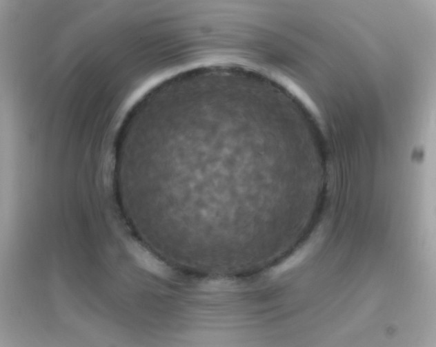 X0000095111021200712071212