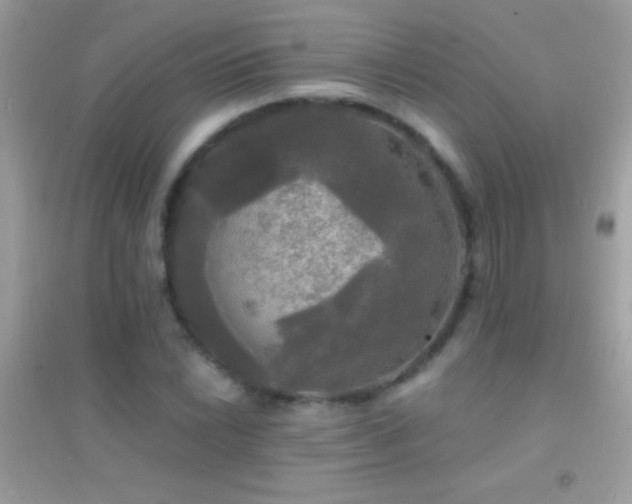 X0000095111022200712071212