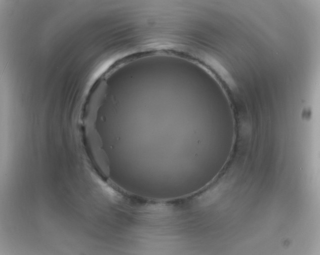 X0000095111023200712071212