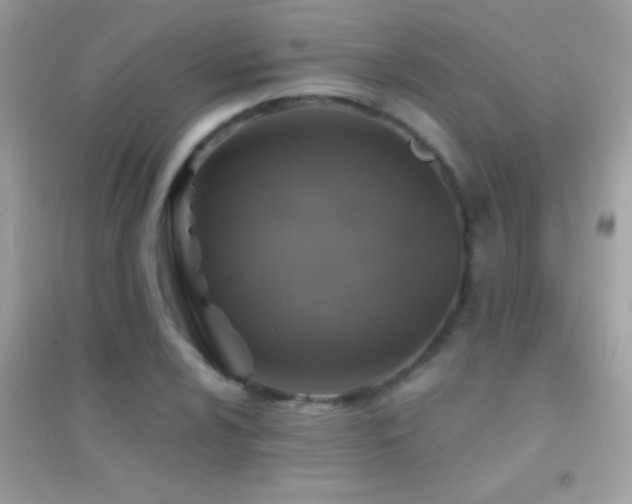 X0000095111024200712071212