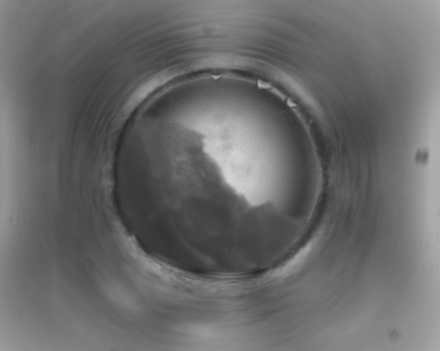 X0000095111025200712071212