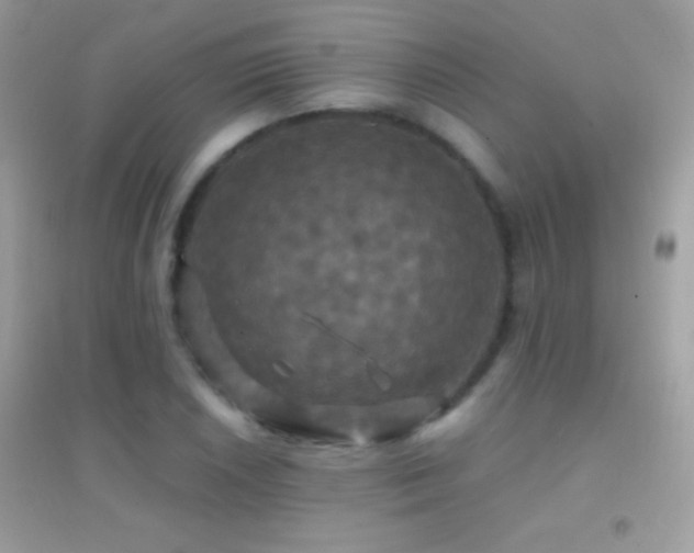 X0000095111026200712071212