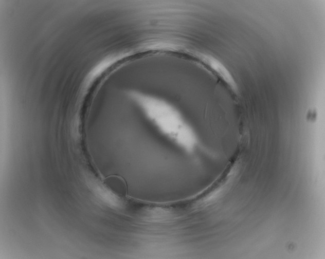 X0000095111027200712071212