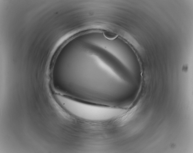 X0000095111028200712071212