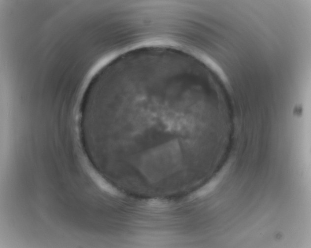 X0000095111029200712071212