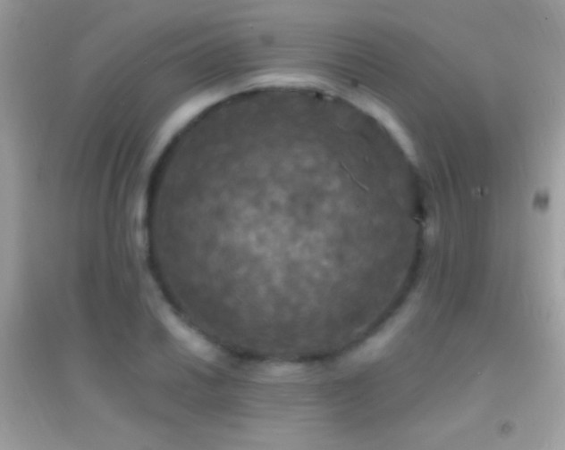 X0000095111030200712071212