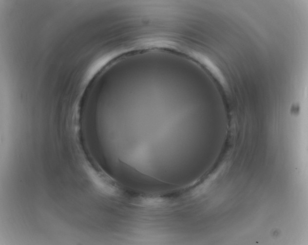 X0000095111031200712071212