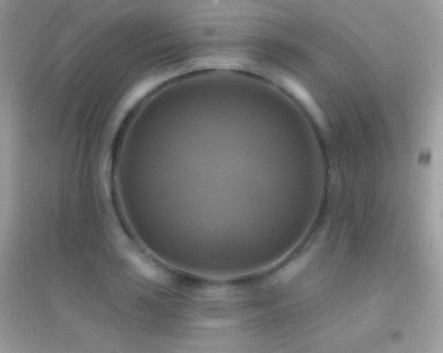 X0000095111035200712071212