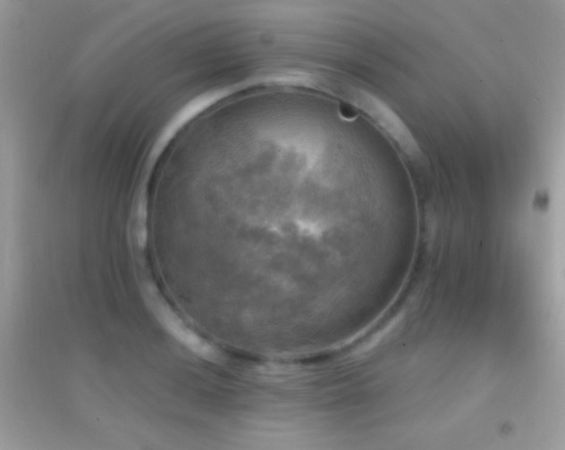 X0000095111036200712071212