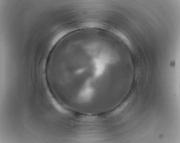 X0000095111039200712071212