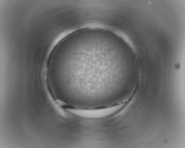 X0000095111040200712071212