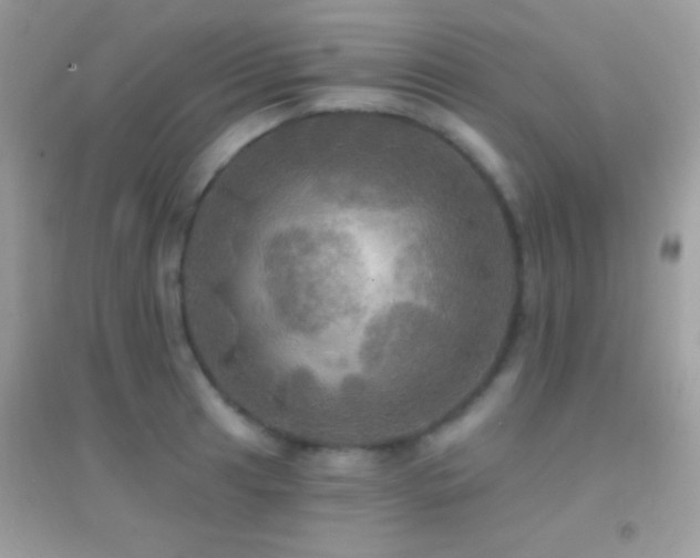 X0000095111041200712071212