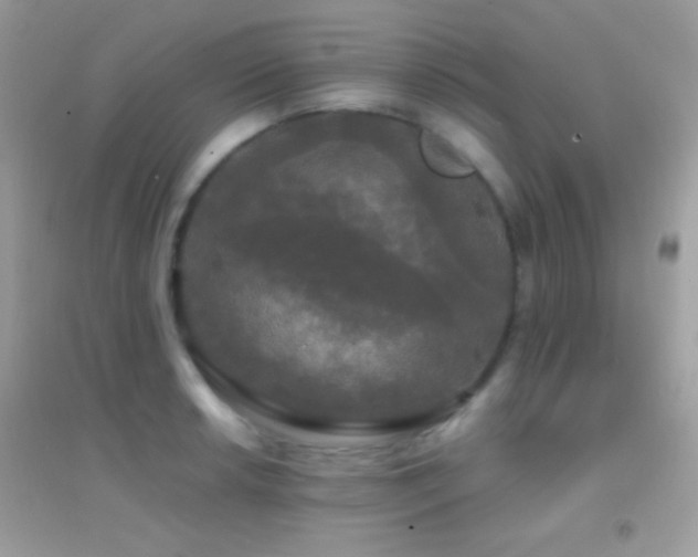 X0000095111042200712071212