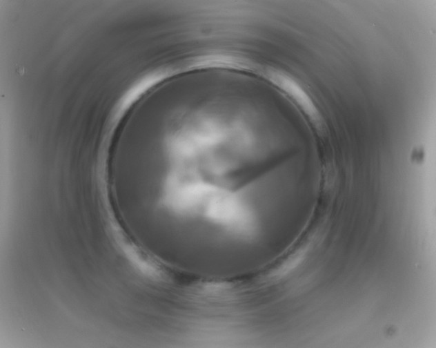 X0000095111043200712071212