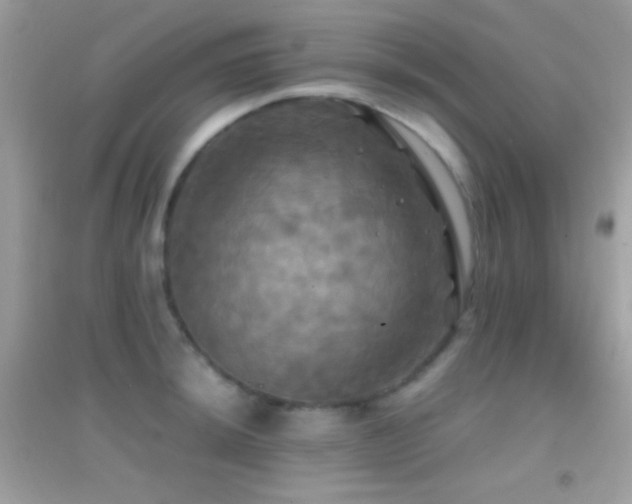 X0000095111044200712071212