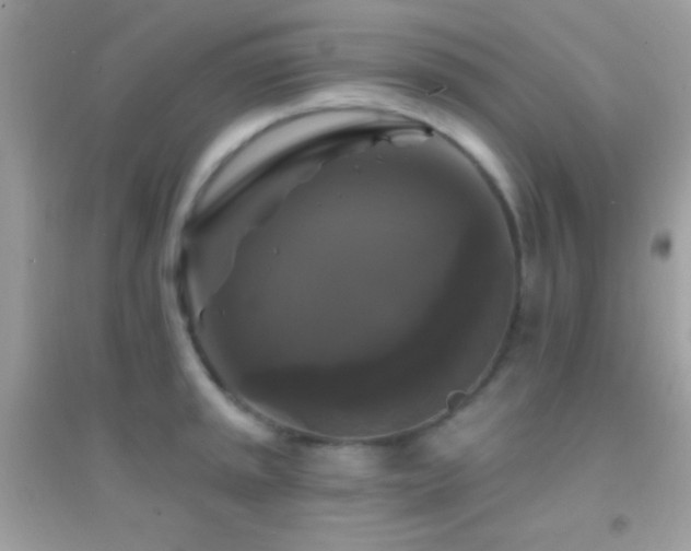 X0000095111045200712071212